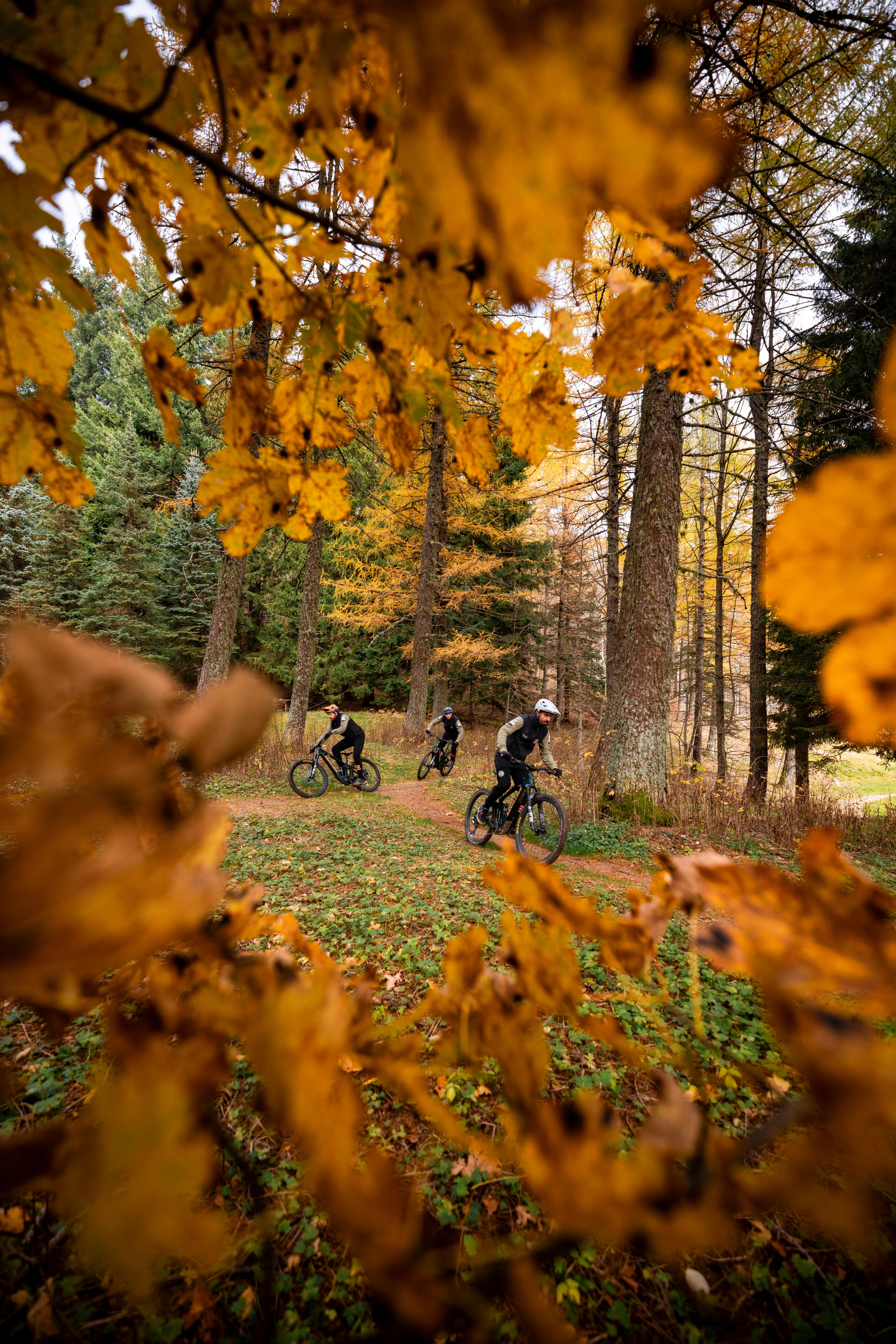 Il gruppo durante un evento